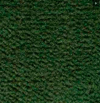 Carpete Indy Verde Musgo